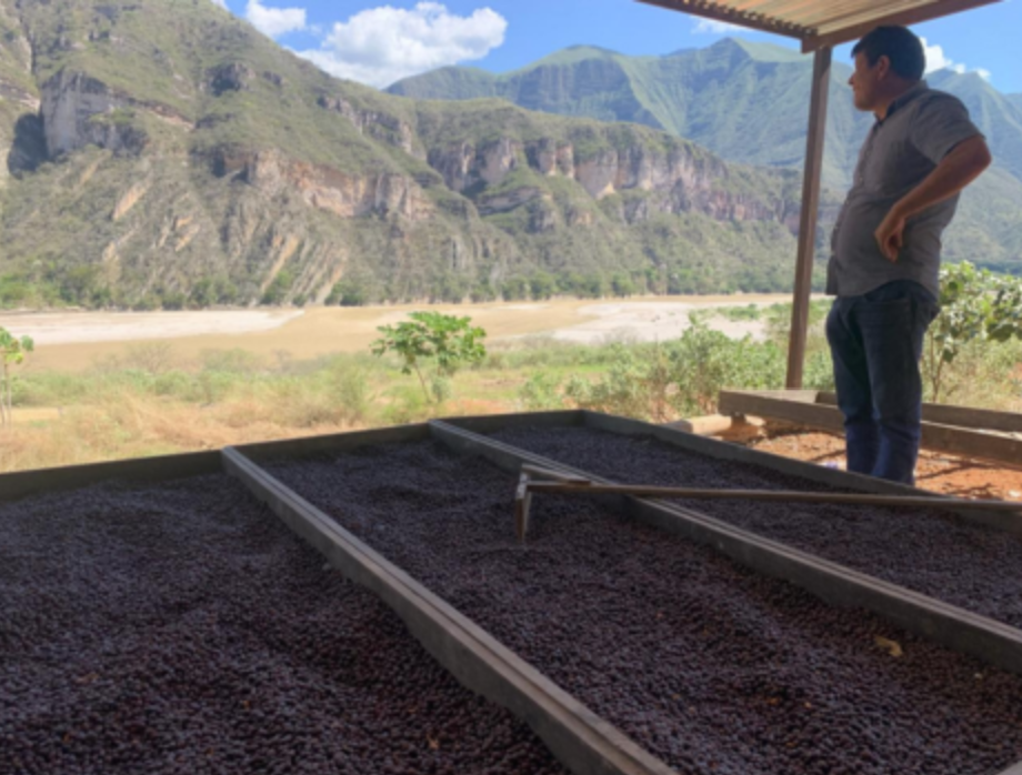 Special Reserve - Peru El Moralillo (Organic)