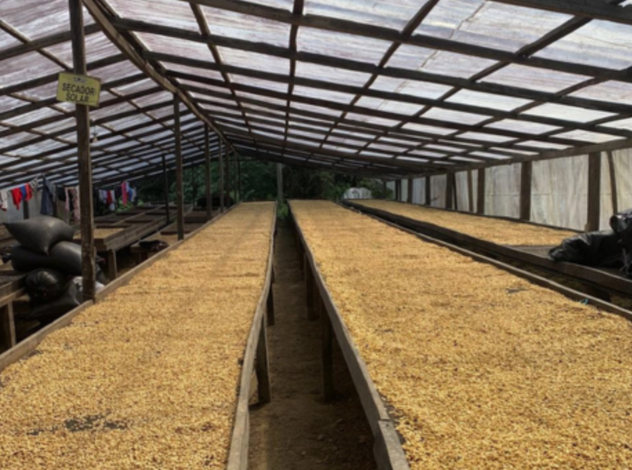 Special Reserve - Peru El Moralillo (Organic)