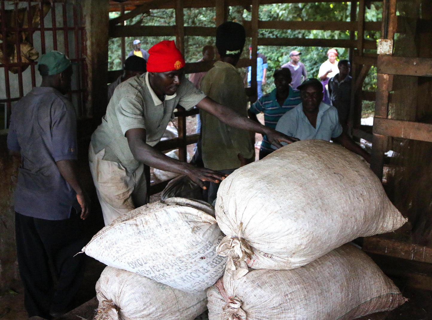 Kenyan - Riakiberu Peaberry