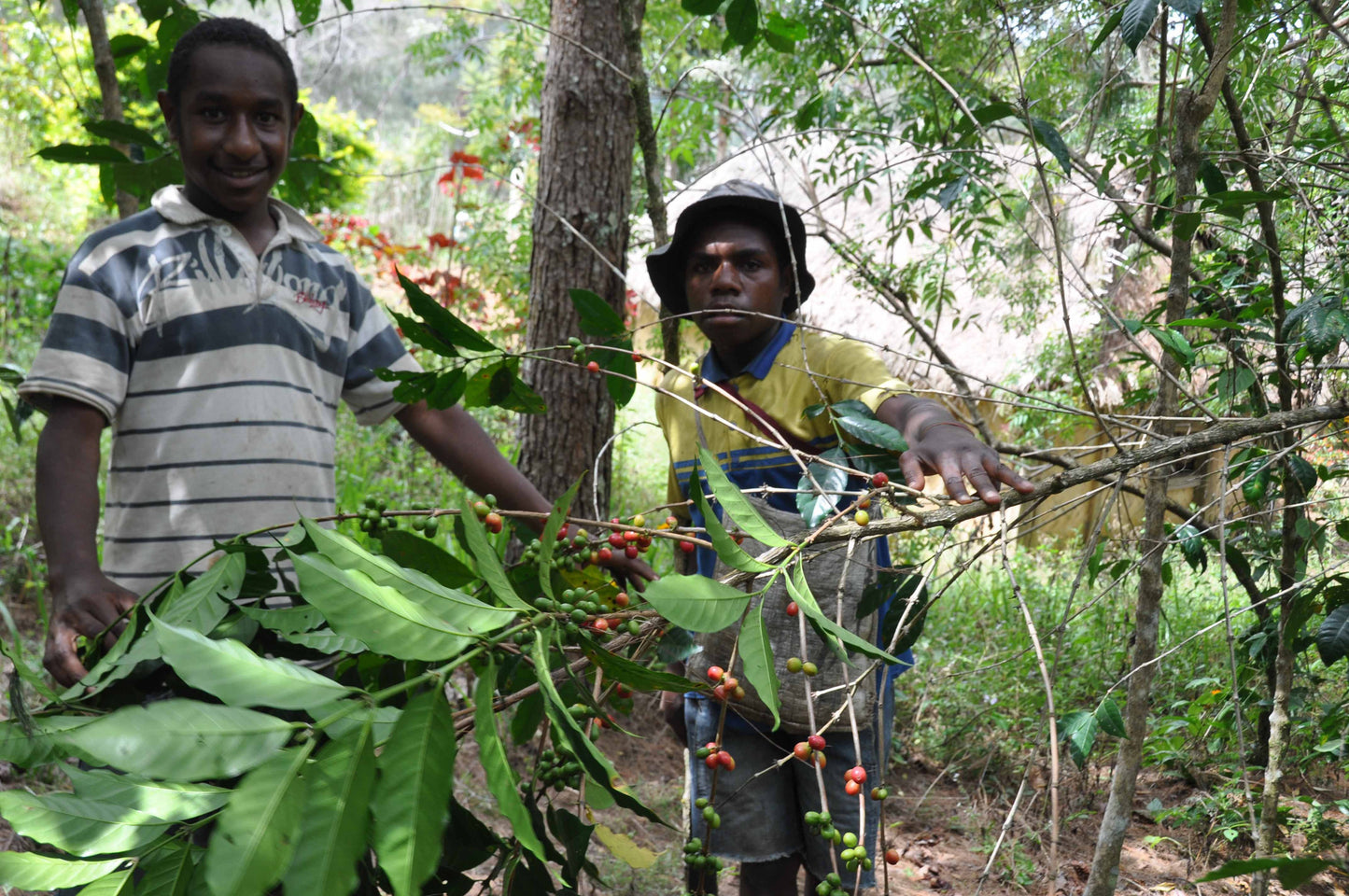 Papua New Guinea, Kunjn